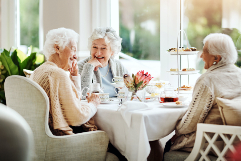 Lifestyle at Windmill - Care Home in Slough