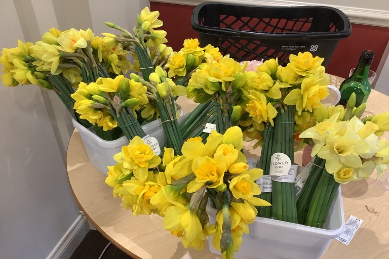 Daffodils 