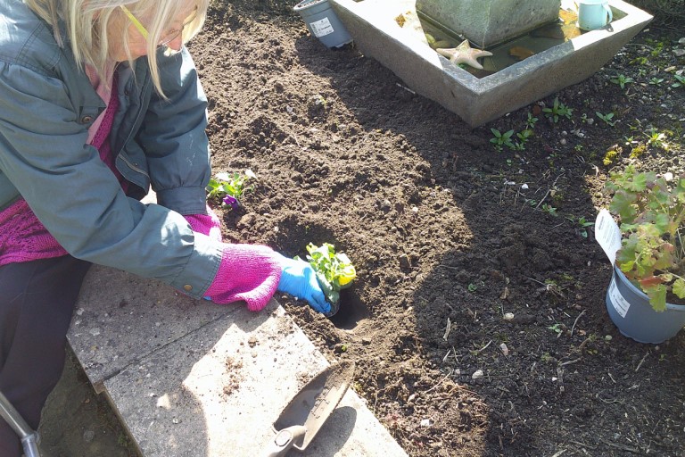 Gardening 