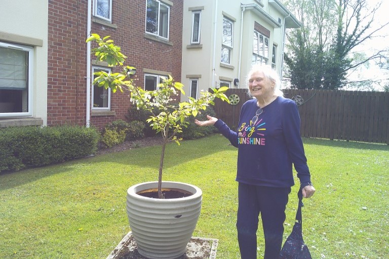 gardening 