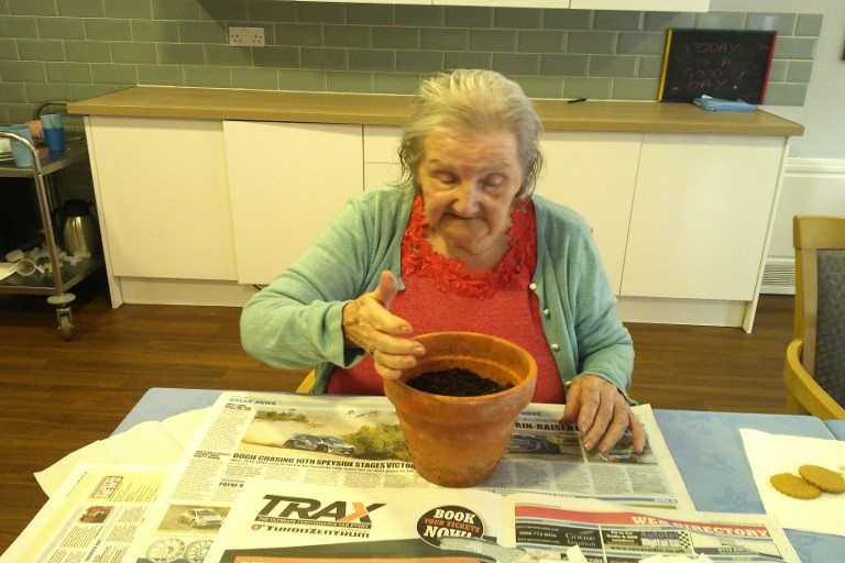 potting seeds