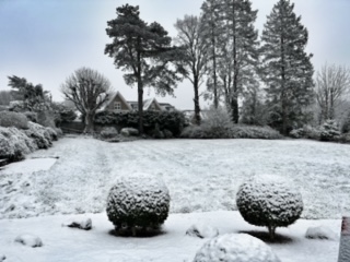 Snowy days at Furze Hill