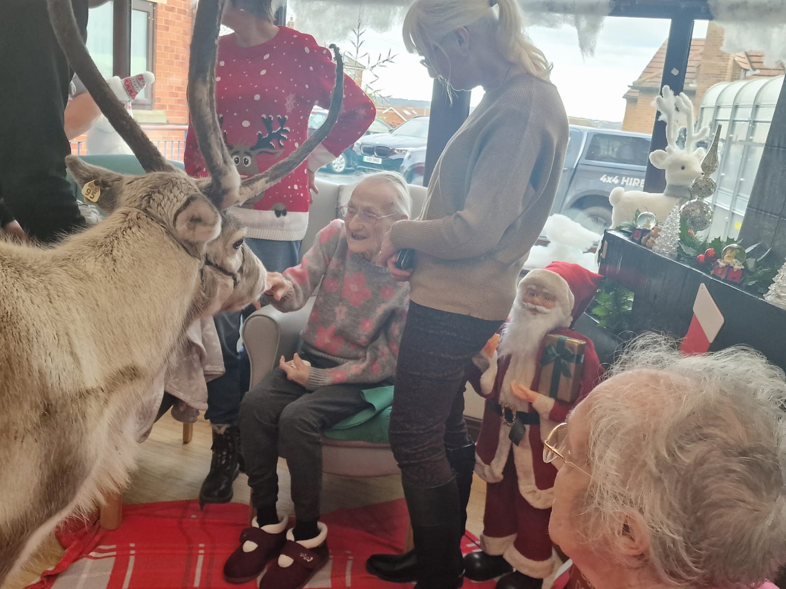 Reindeer visiting the people at Corinthian House