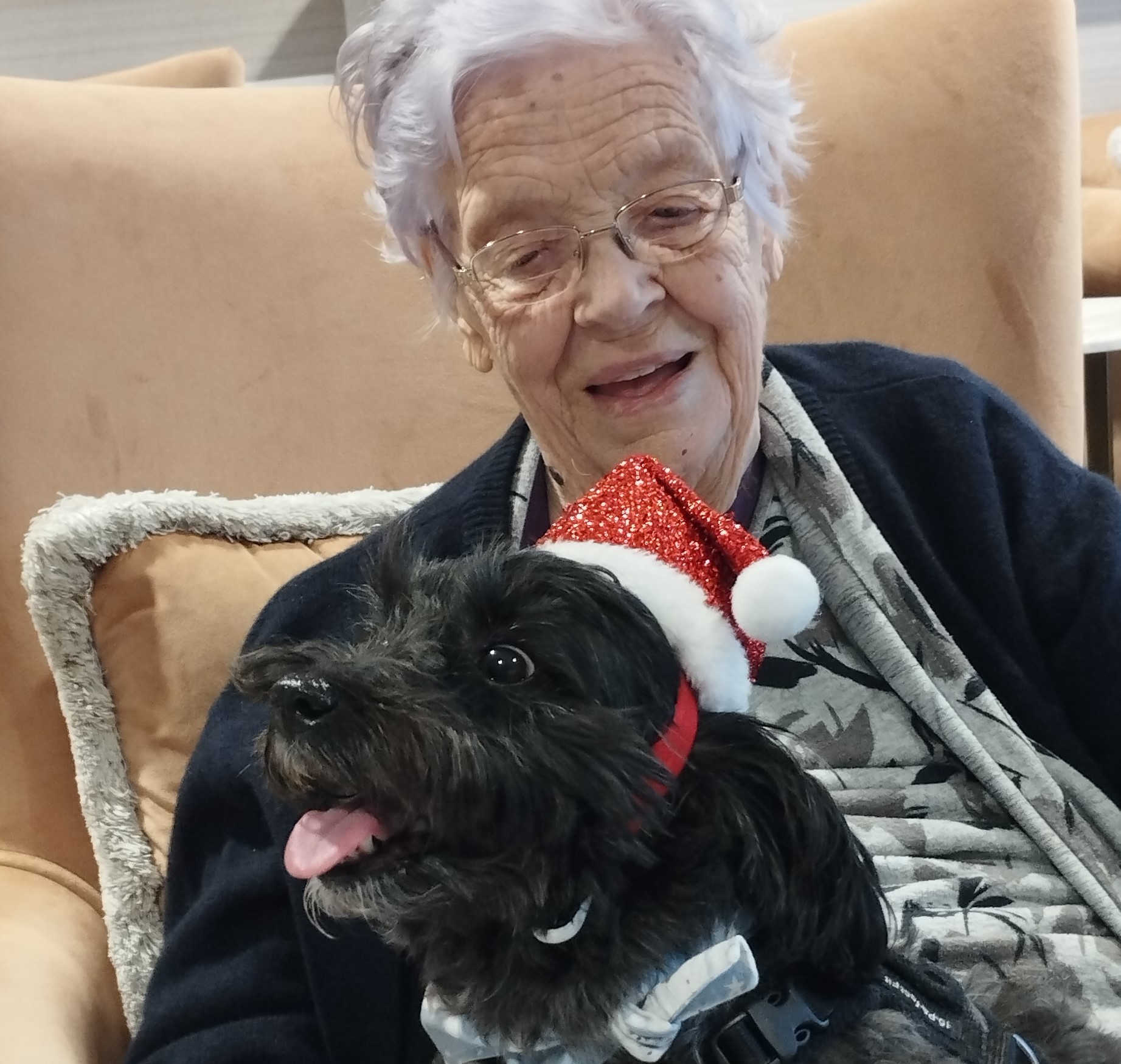 Therapy dog at Lace Hill