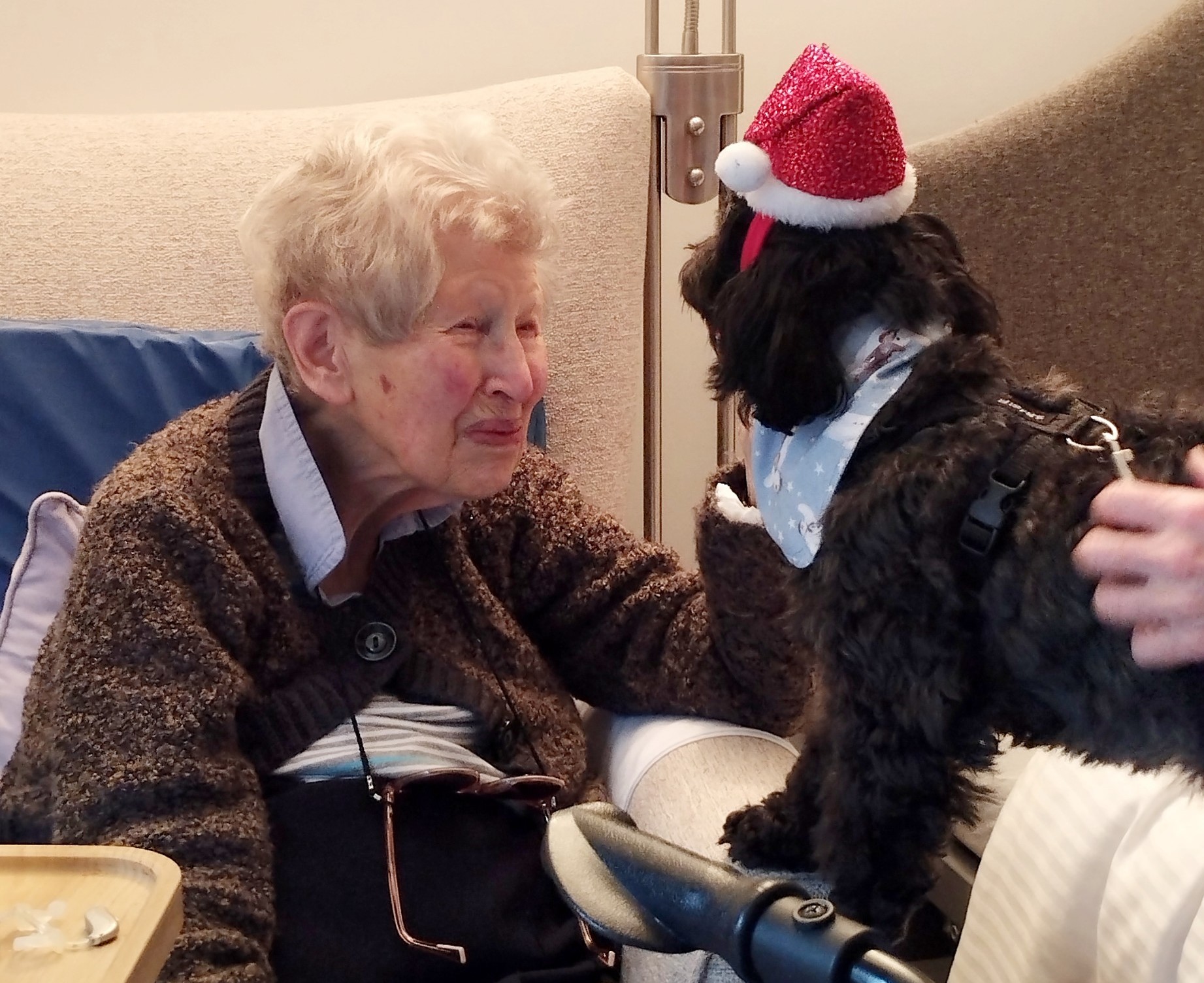 Therapy dog at Lace Hill