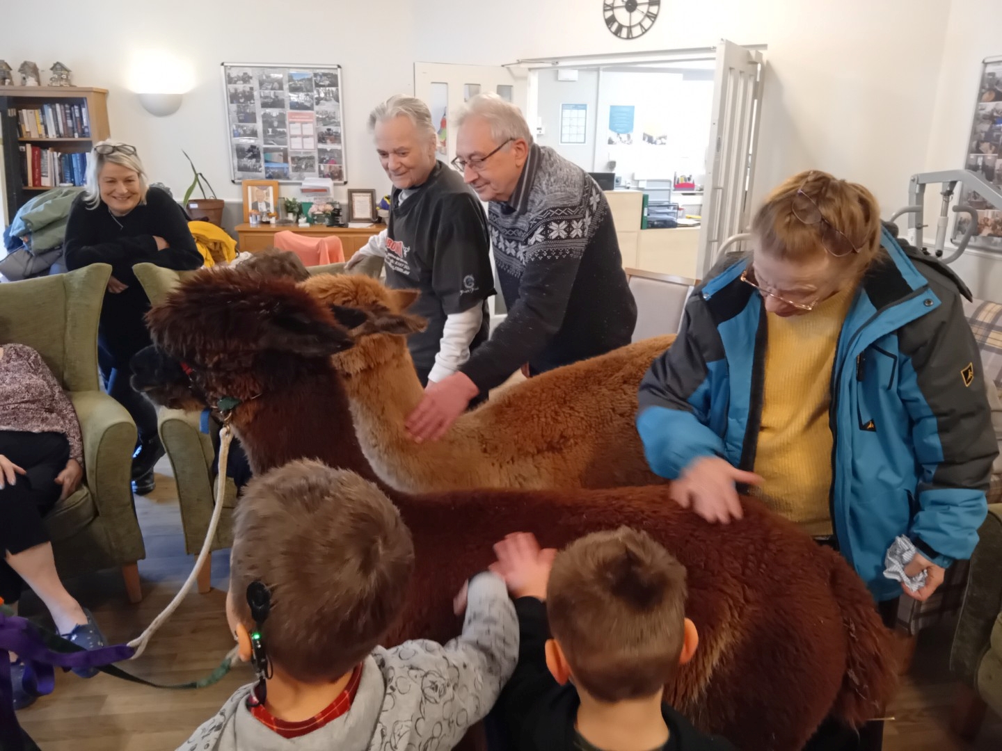 Alpacas Visit for Animal Therapy