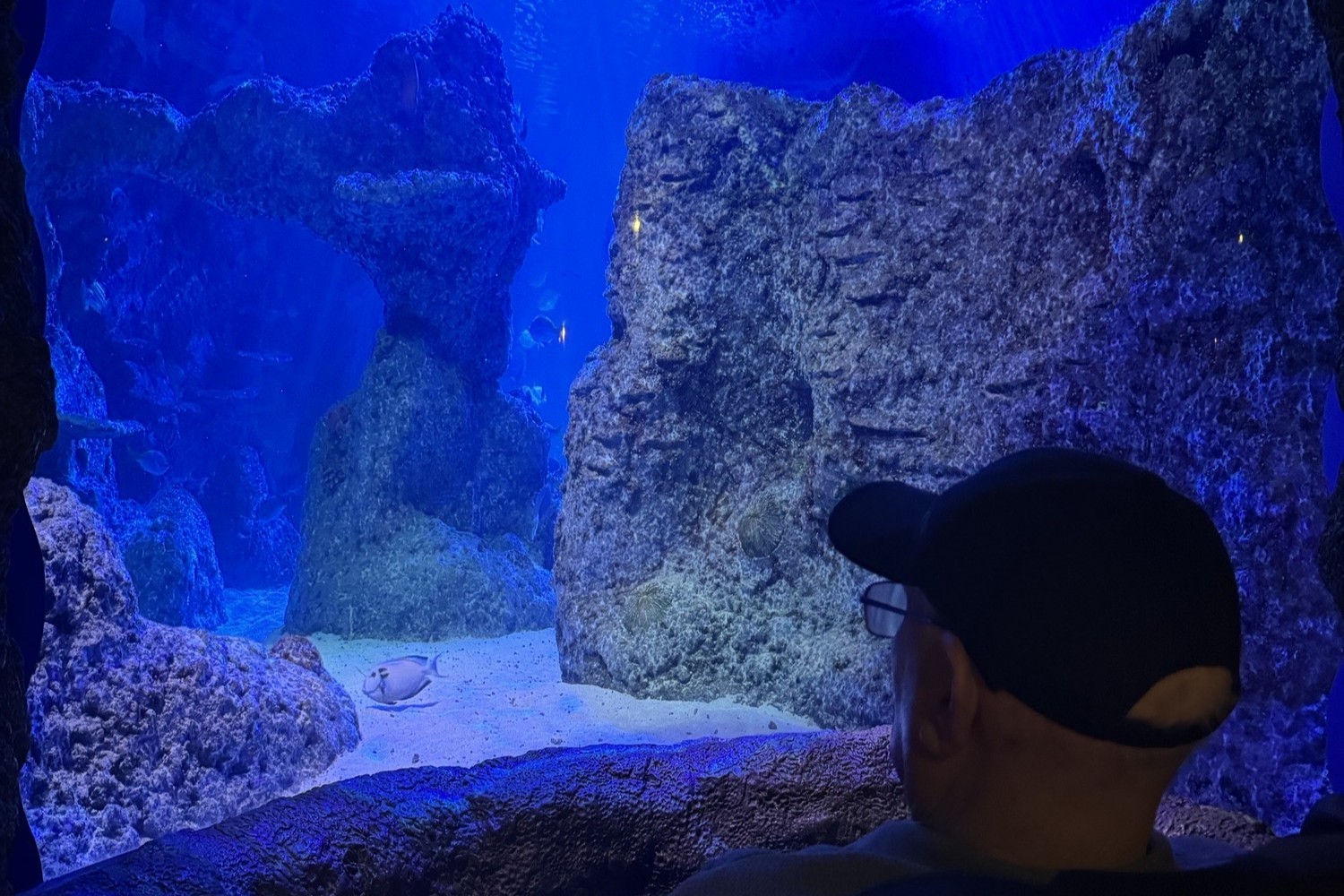 Bowerfield Court Manchester Sealife centre Day Trip