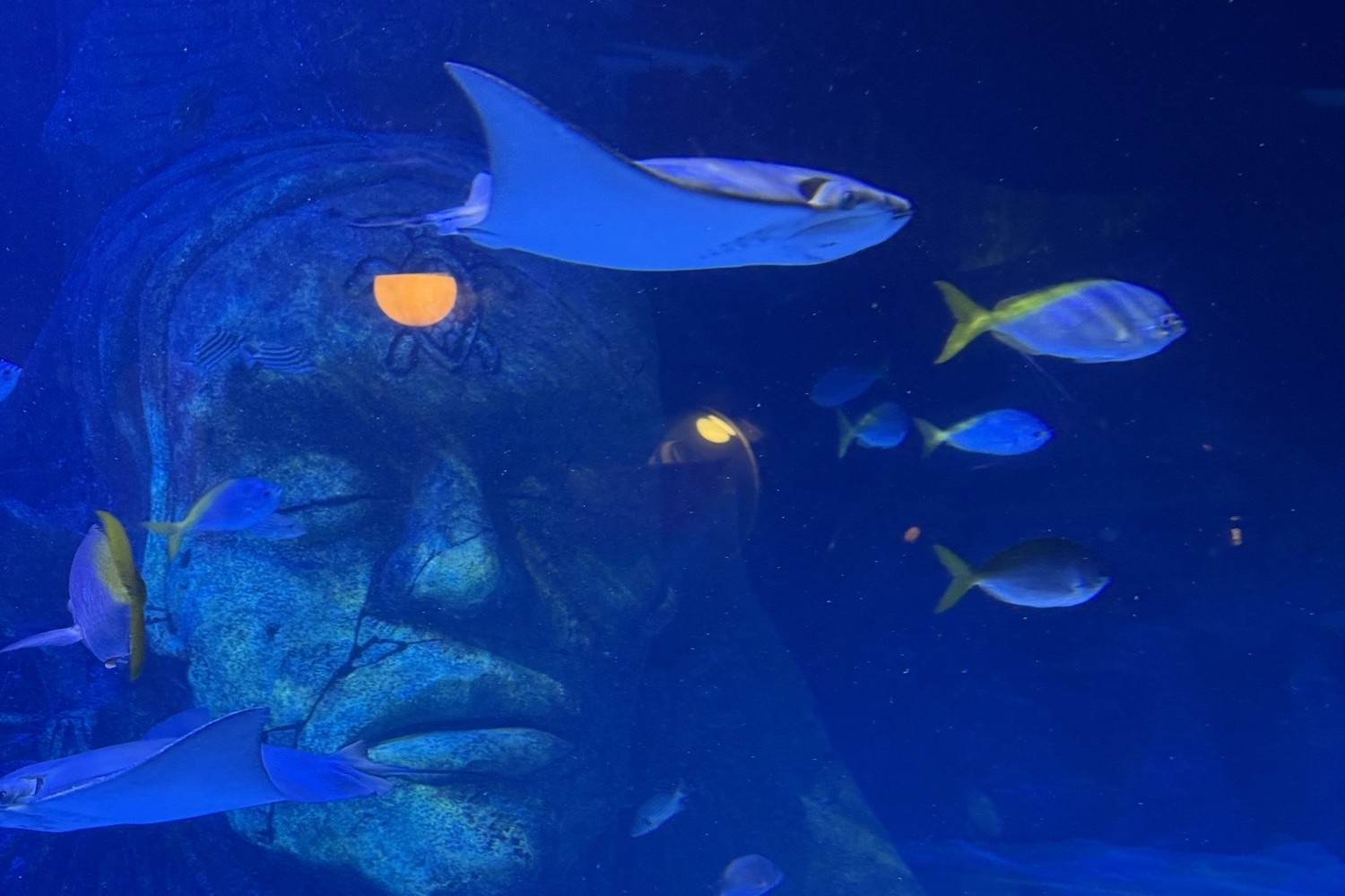 Bowerfield Court Manchester Sealife centre Day Trip
