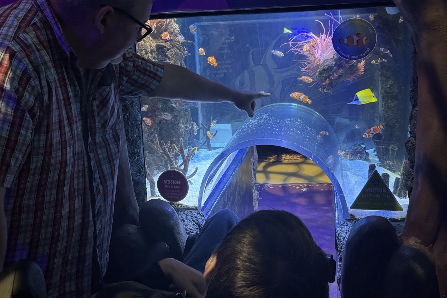 Bowerfield Court Manchester Sealife centre Day Trip