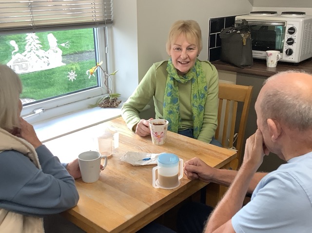 Christmas Cake from seasoned Field View experts.