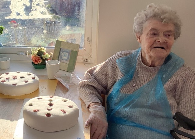 Christmas Cake from seasoned Field View experts.