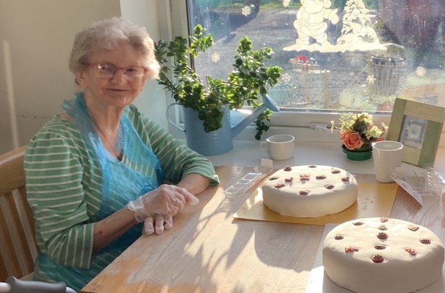 Christmas Cake from seasoned Field View experts.