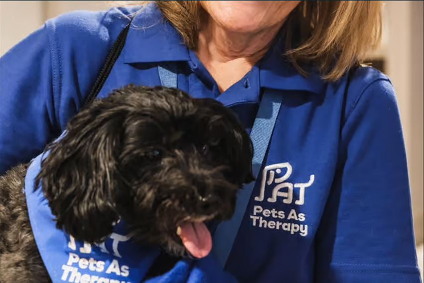 Pets As Therapy in Lace Hill Care Home