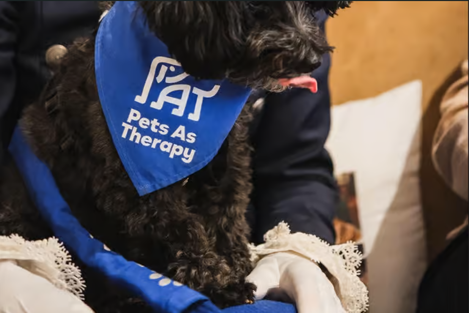 Pets As Therapy in Lace Hill Care Home