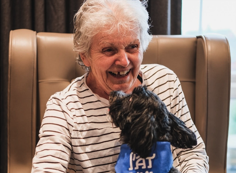 Pets As Therapy in Lace Hill Care Home