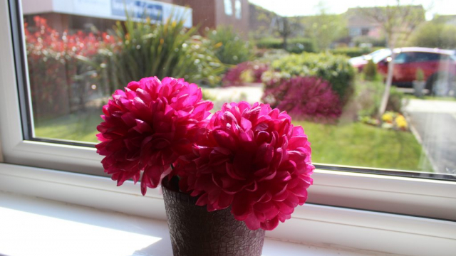 Earsdon Grange window and flowers