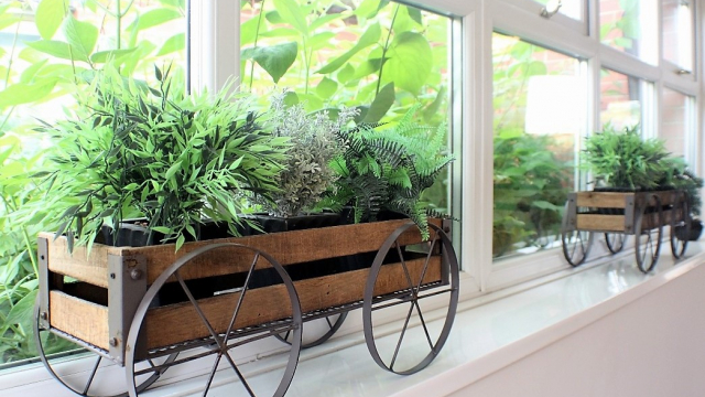 Astor Lodge window plants