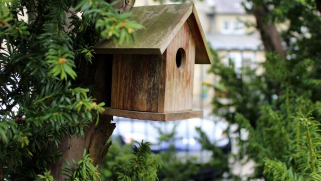 Rosedale bird house