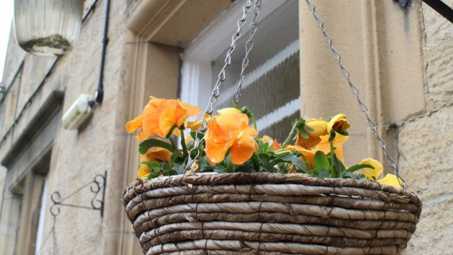 Rosedale gardens hanging baskets 