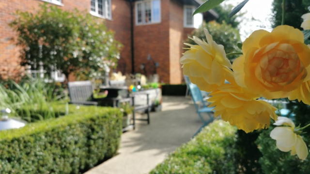 Buckingham House garden with seating and flowers