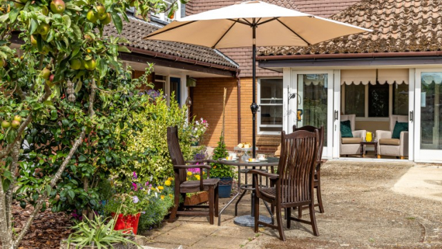 Woodland garden and outdoor furniture 