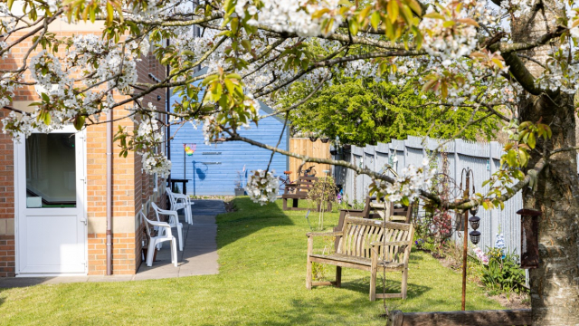 Amber Court gardens