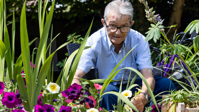 The Westbourne gardening