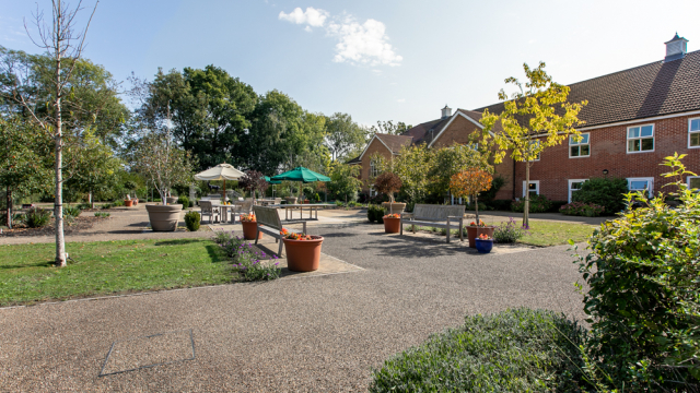 Cedar Court garden