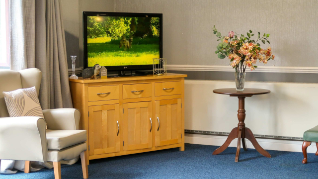 Manor Park Lounge Tv