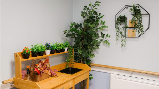 Barnes Court indoor garden