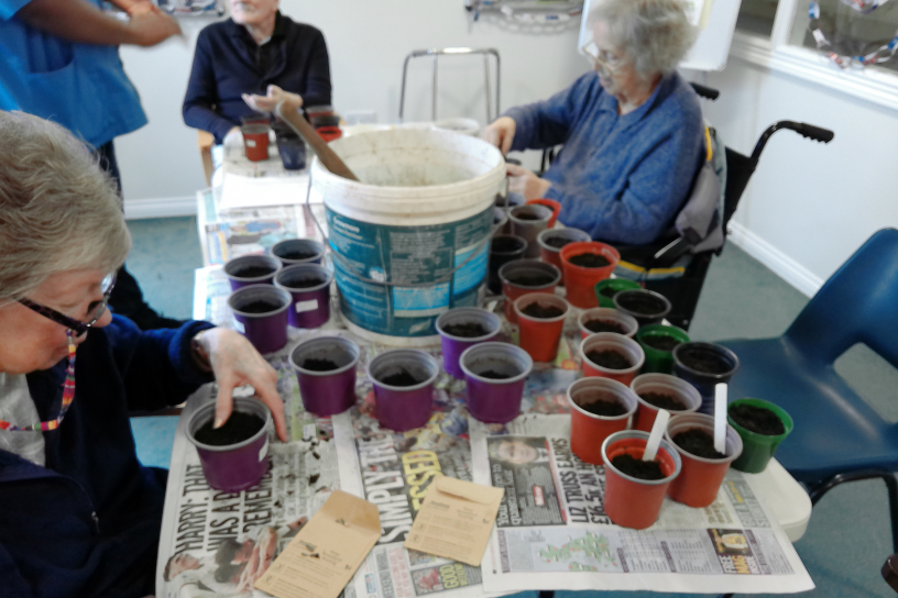 Woodland's gardening club 