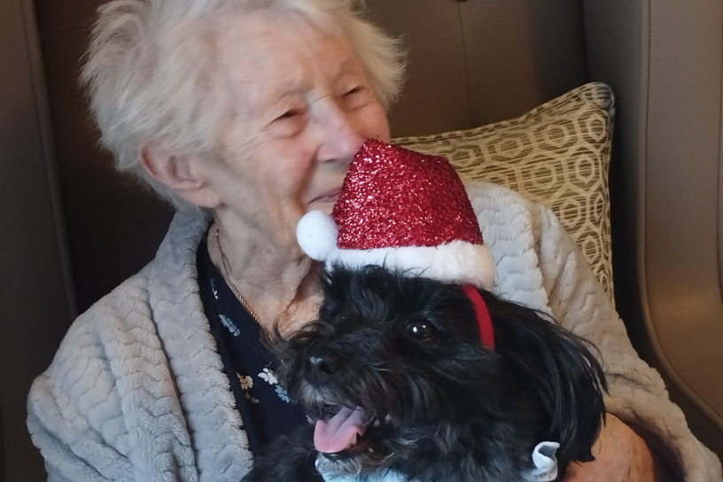 Therapy dog at Lace Hill